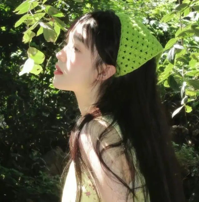求职记 封面